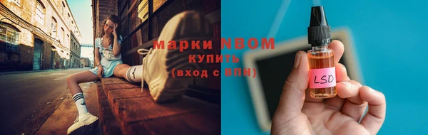 соль ск Богданович