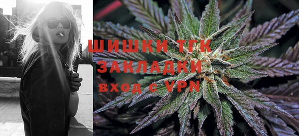 mdpv Богородск