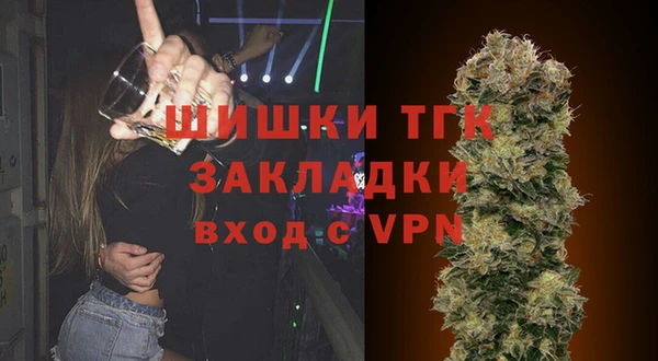 соль ск Богданович