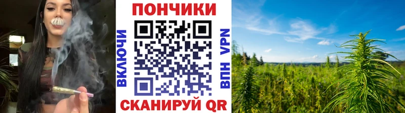 Каннабис White Widow  закладка  Кочубеевское 